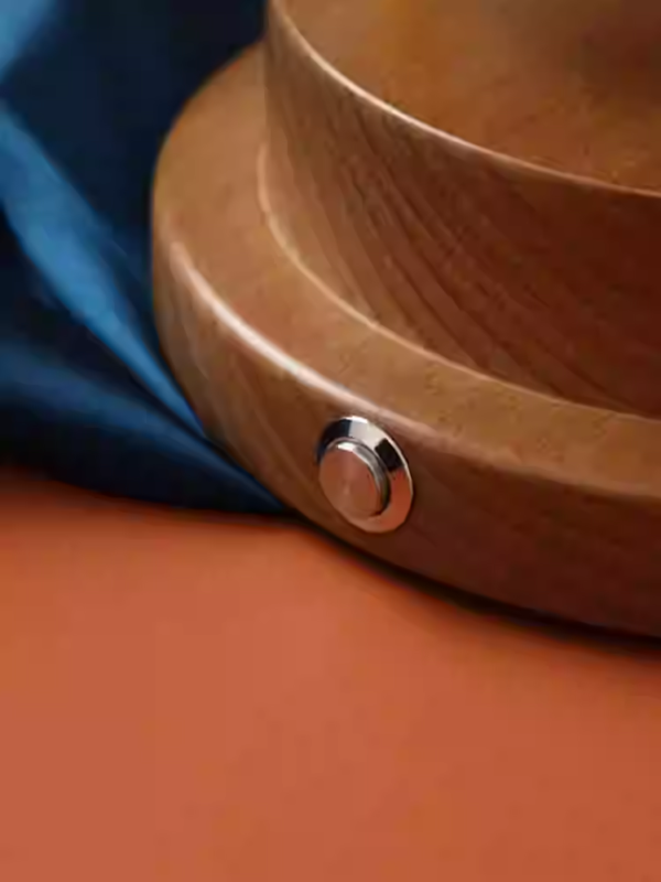 Mechanical watch shaker, desktop/ins-style solid wood watch shaker, rechargeable automatic storage box, watch winder